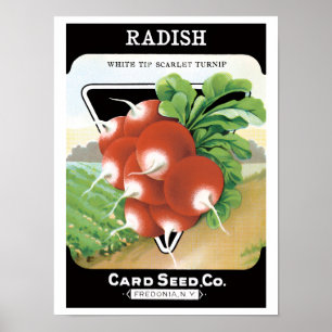Vintage-Samenpaket-Label-Kunst, Scharlachrote Radi Poster