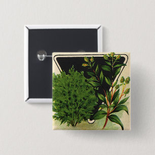 Vintage-Samenpaket-Label-Kunst Süßer Majoran Kräut Button