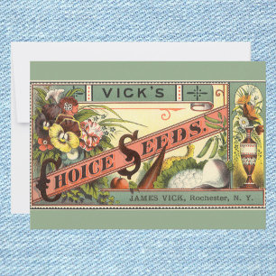 Vintage-Samenpaket-Label-Kunst, Vick's Choice Seed