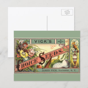 Vintage-Samenpaket-Label-Kunst, Vick's Choice Seed Postkarte
