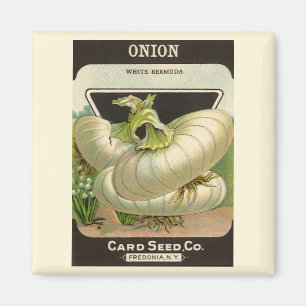 Vintage-Samenpaket-Label-Kunst Weiße Bermuda-Zwieb Magnet