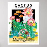 Vintage-Samenpaket-Label-Kunst Wüstenkaktuspflanze