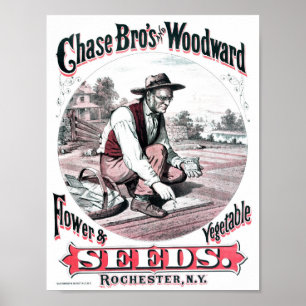 Vintage-Samenwerbeposter Poster