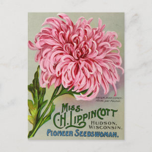Vintage-Samenwerbepostkarte Postkarte