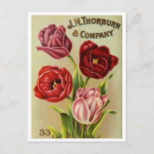 Vintage-Samenwerbepostkarte Postkarte