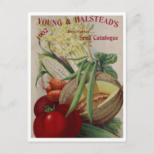 Vintage-Samenwerbepostkarte Postkarte