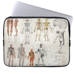 Vintage Sammlung anatomischer Biologie Laptopschutzhülle