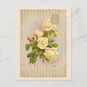 Vintage Sammlung Postkarte - Vol.2 - Postkarte