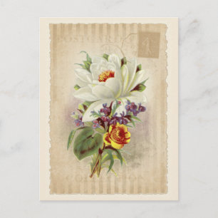 Vintage Sammlung Postkarte - Vol.6 - Postkarte
