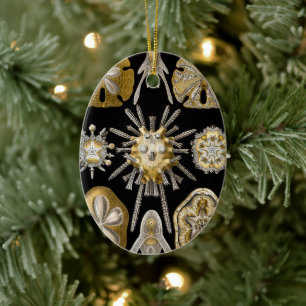 Vintage SandDollars Sea Urchins von Ernst Haeckel Keramik Ornament