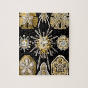 Vintage SandDollars Sea Urchins von Ernst Haeckel Puzzle