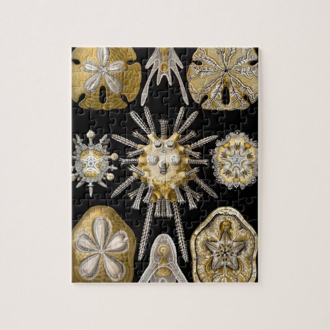 Vintage SandDollars Sea Urchins von Ernst Haeckel Puzzle (Vertikal)