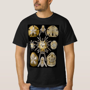 Vintage SandDollars Sea Urchins von Ernst Haeckel T-Shirt