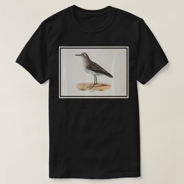 Vintage Sandpiper Bird Illustration (1842) queen  T-Shirt (Design vorne)