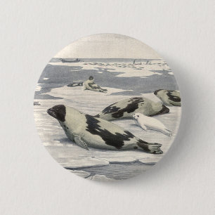 Vintage Sattelrobben in arktischem Schnee von Loui Button