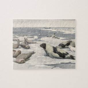 Vintage Sattelrobben in arktischem Schnee von Loui Puzzle