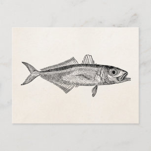 Vintage Scanner-Fische Aquatic Fish Blank Template Postkarte