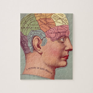 Vintage-Schädel für Phrenologie Puzzle