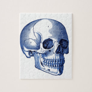 Vintage-Schädelanatomie Puzzle