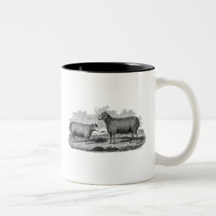 Vintage-Schaf-Illustration 1800er Jahre Retro-Baue Zweifarbige Tasse