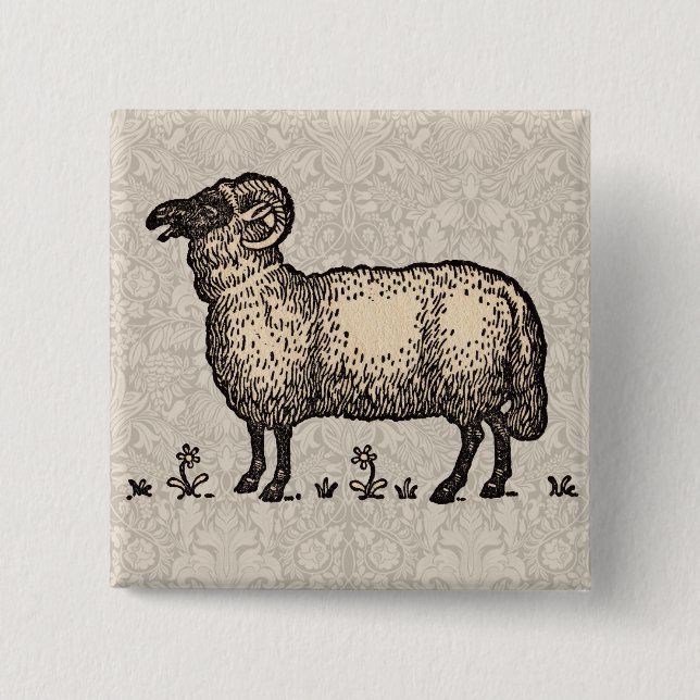 Vintage-Schaf-Illustration: Klassische Farmkunst Button (Vorderseite)