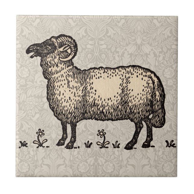 Vintage-Schaf-Illustration: Klassische Farmkunst Fliese (Vorderseite)