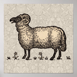 Vintage-Schaf-Illustration: Klassische Farmkunst Poster