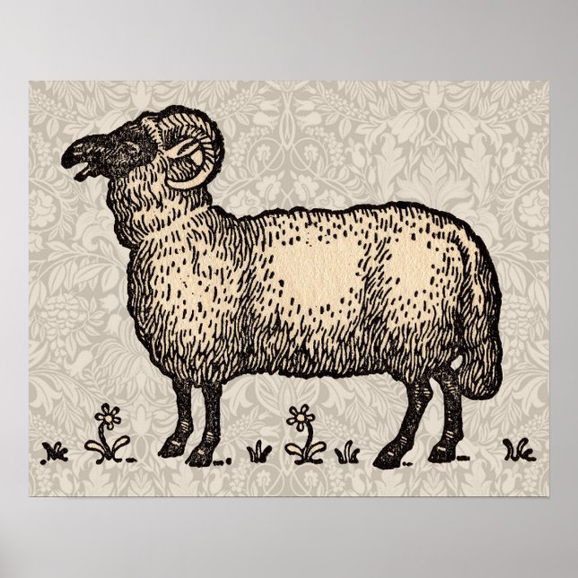 Vintage-Schaf-Illustration: Klassische Farmkunst Poster (Vorne)