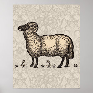 Vintage-Schaf-Illustration: Klassische Farmkunst Poster