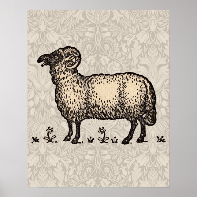 Vintage-Schaf-Illustration: Klassische Farmkunst Poster (Vorne)