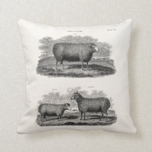 Vintage Schaf Mutterschaf Bauernhoftiere Retro Mut Kissen