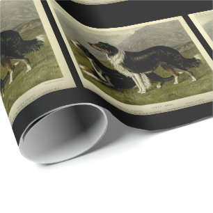 Vintage Schafhunde an der Grenze Geschenkpapier