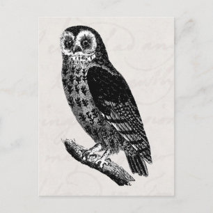 Vintage Schale Zeichnend Retro-Vogelscheuchen Postkarte