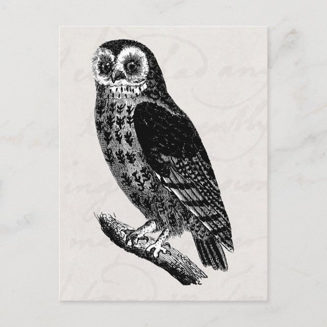 Vintage Schale Zeichnend Retro-Vogelscheuchen Postkarte (Vorderseite)