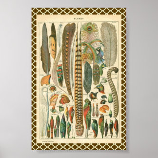 Vintage Schalen Poster