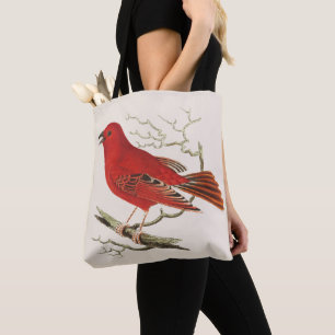 Vintage-Scharlach-Tangare-Naturalist-Vogel-Dekor-K