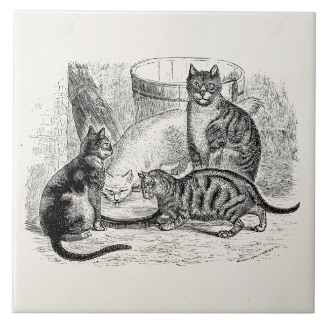 Vintage Scheunen-Katzen 1800s Fliese (Vorderseite)