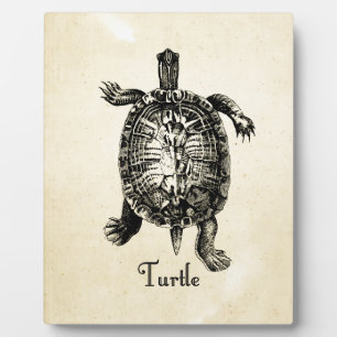 VINTAGE SCHILDKRÖTE FOTOPLATTE