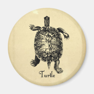VINTAGE SCHILDKRÖTE MAGNET
