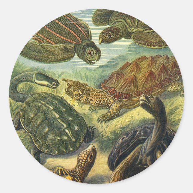 Vintage Schildkröten und Meeresschildkröten von Er Runder Aufkleber (Vorderseite)