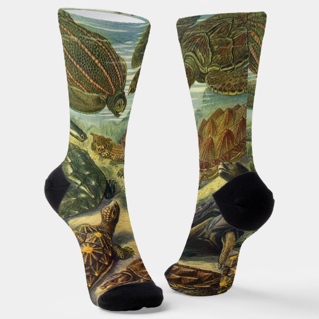 Vintage Schildkröten und Meeresschildkröten von Er Socken (Gewinkelt)