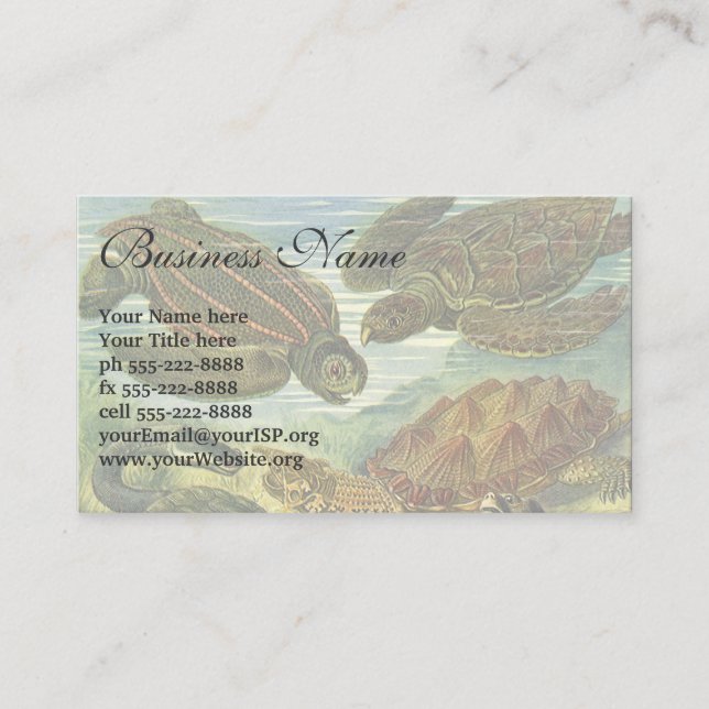 Vintage Schildkröten und Meeresschildkröten von Er Visitenkarte (Vorderseite)