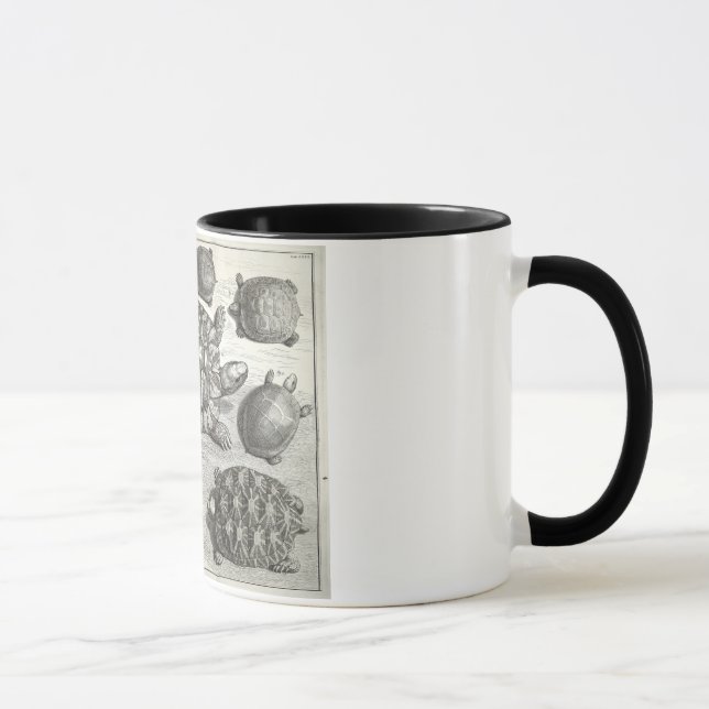 Vintage Schildkrötenätzung Tasse (Rechts)