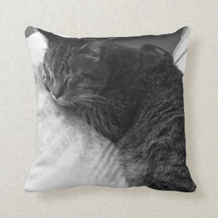 Vintage-Schlafkatzen-Foto Kissen