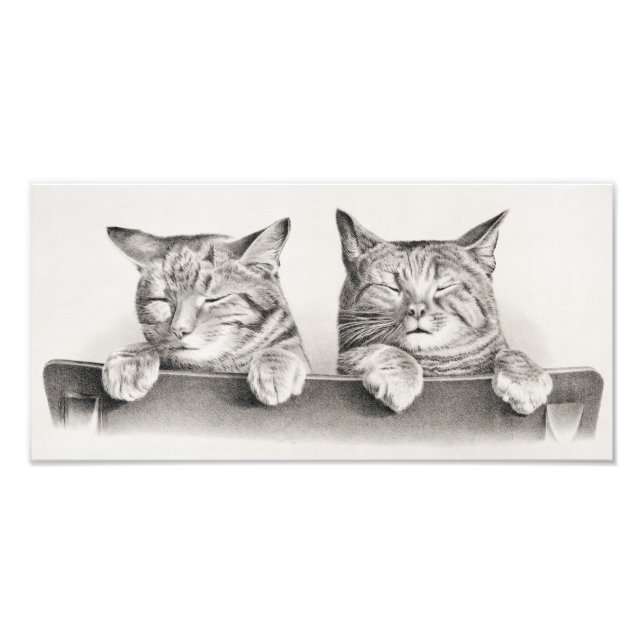 Vintage Schlafkatzen Lithograph, 1874 Fotodruck (Vorne)