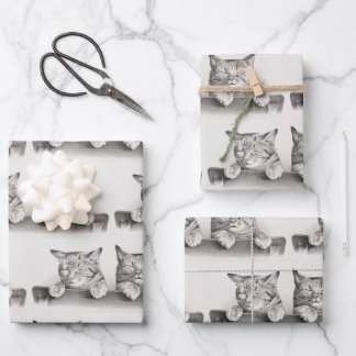 Vintage Schlafkatzen Lithograph, 1874 Geschenkpapier Set