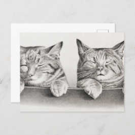 Vintage Schlafkatzen Lithograph, 1874 Postkarte