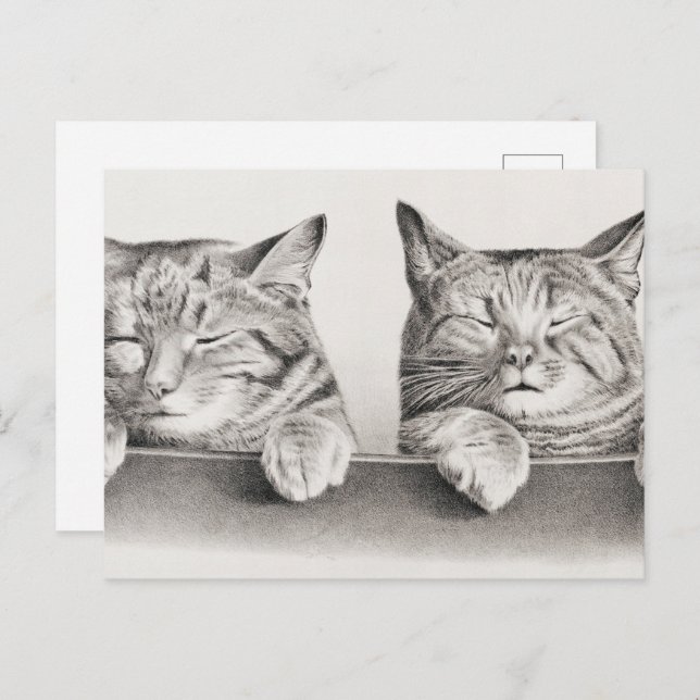 Vintage Schlafkatzen Lithograph, 1874 Postkarte (Vorne/Hinten)