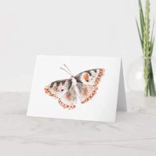 Vintage Schmetterling alte Illustration Karte