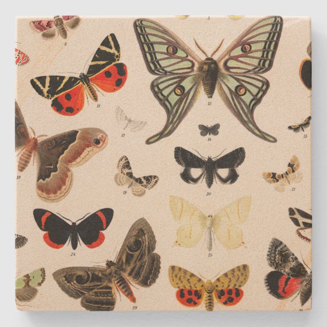 Vintage-Schmetterling-Botanik-Getränkeuntersetzer Steinuntersetzer (Vorderseite)